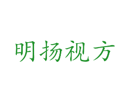 明扬视方