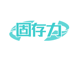 固存力
