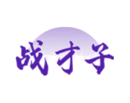 战才子