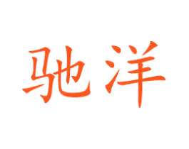 驰洋
