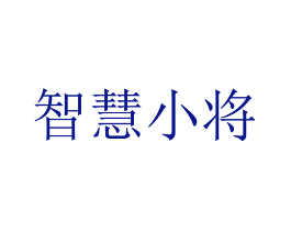 智慧小将