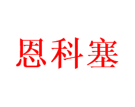 恩科塞