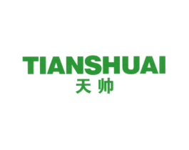 天帅