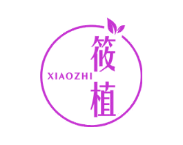 筱植