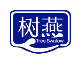 树燕 TREE SWALLOW