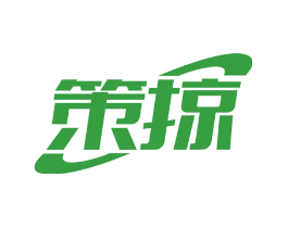 策掠