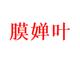 膜婵叶