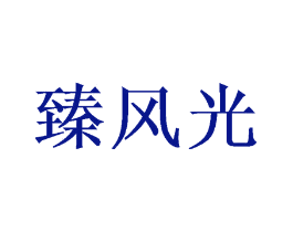 臻风光
