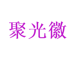 聚光徽