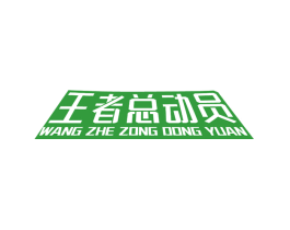 王者总动员