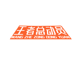 王者总动员