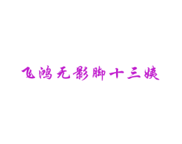 飞鸿无影脚十三姨