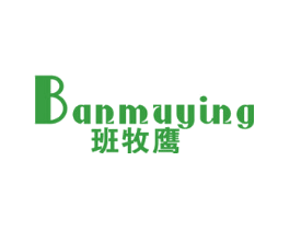 班牧鹰