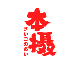 本摄