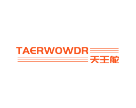天王舵 TAERWOWDR