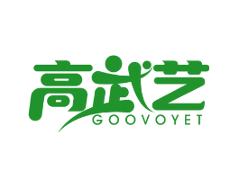 高武艺 GOOVOYET