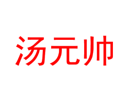 汤元帅