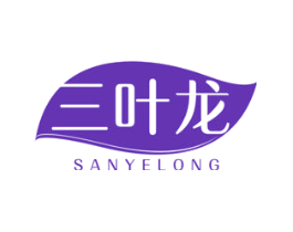 三叶龙