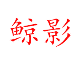 鲸影