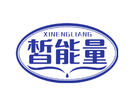 皙能量