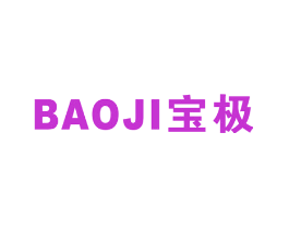 宝极