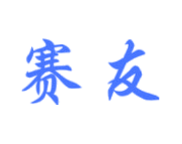 赛友