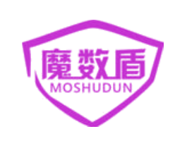 魔数盾