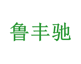 鲁丰驰