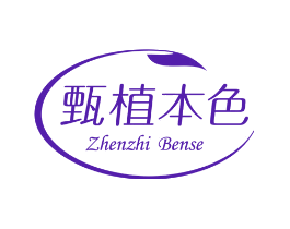 甄植本色