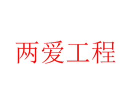 两爱工程