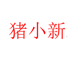 猪小新