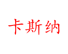 卡斯纳