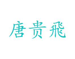 唐贵飞