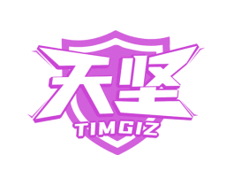 天坚 TIMGIZ