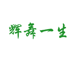 辉舞一生