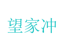 望家冲