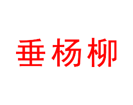 垂杨柳