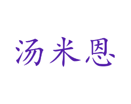 汤米恩