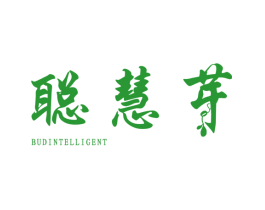 聪慧芽 BUDINTELLIGENT