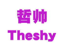 哲帅 THESHY