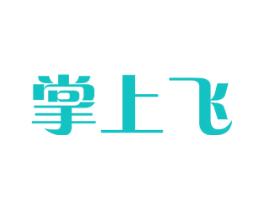 掌上飞