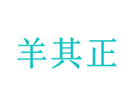 羊其正