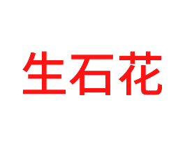 生石花