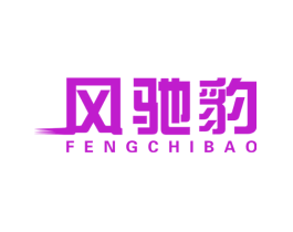 风驰豹