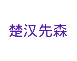 楚汉先森