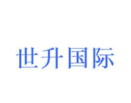 世升国际