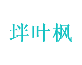坢叶枫