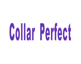 COLLAR PERFECT