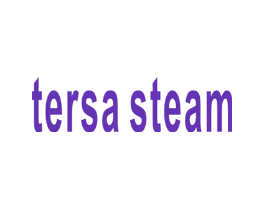 TERSA STEAM