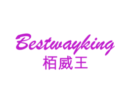 栢威王 BESTWAYKING